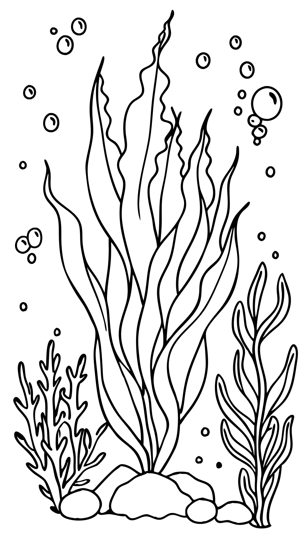 macroalgae coloring page